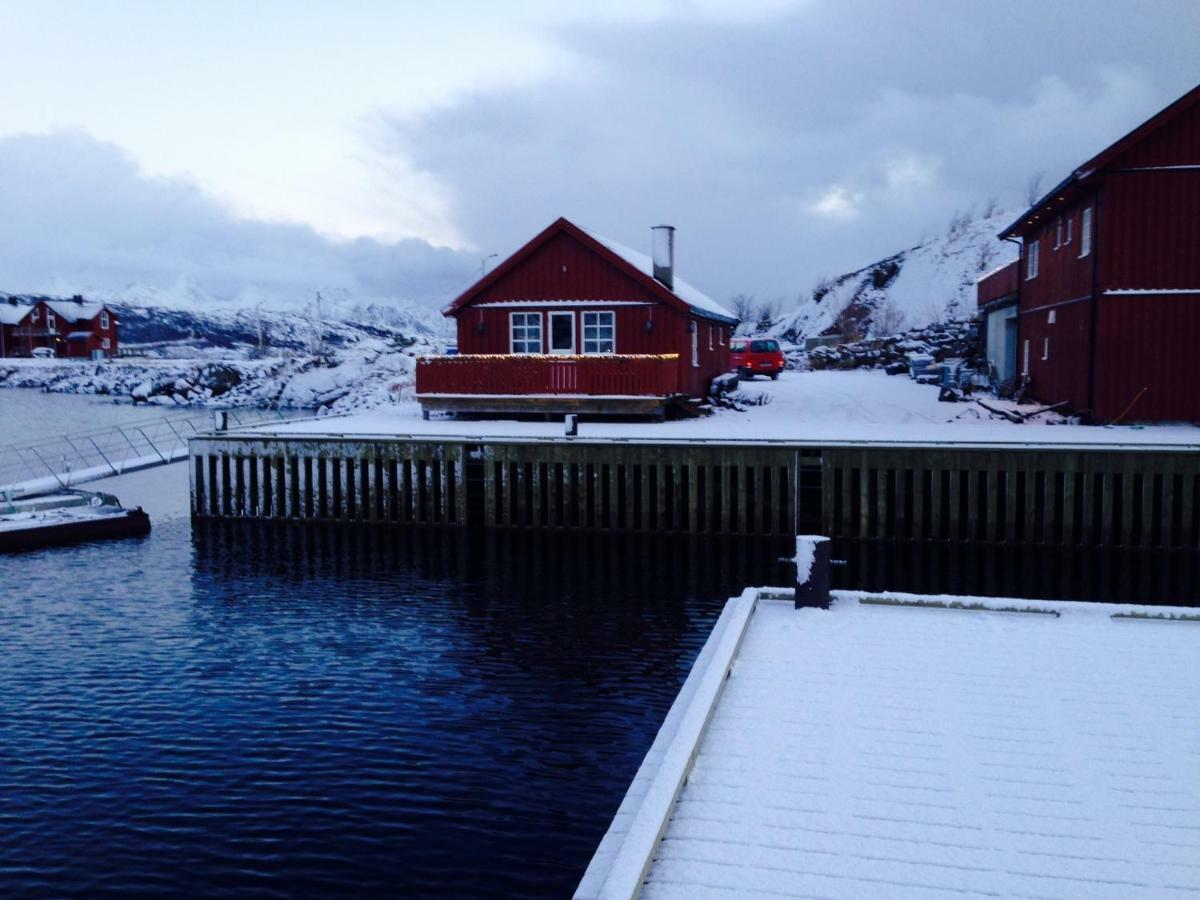 Svolvaergeita Apartments Bagian luar foto